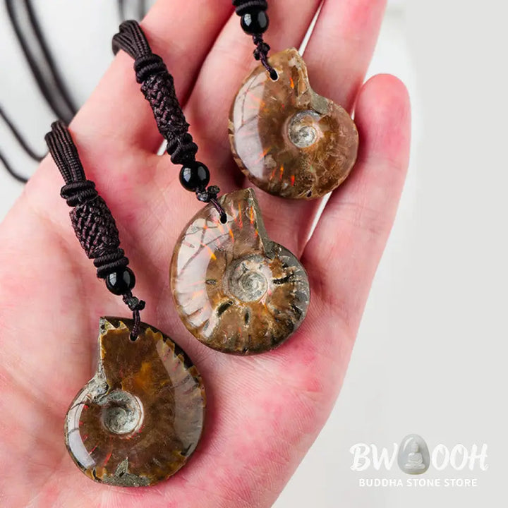 Buddha Stones Natural Ammonite Fossil Snail Pattern Meditation Healing Necklace Pendant - BWOOOH