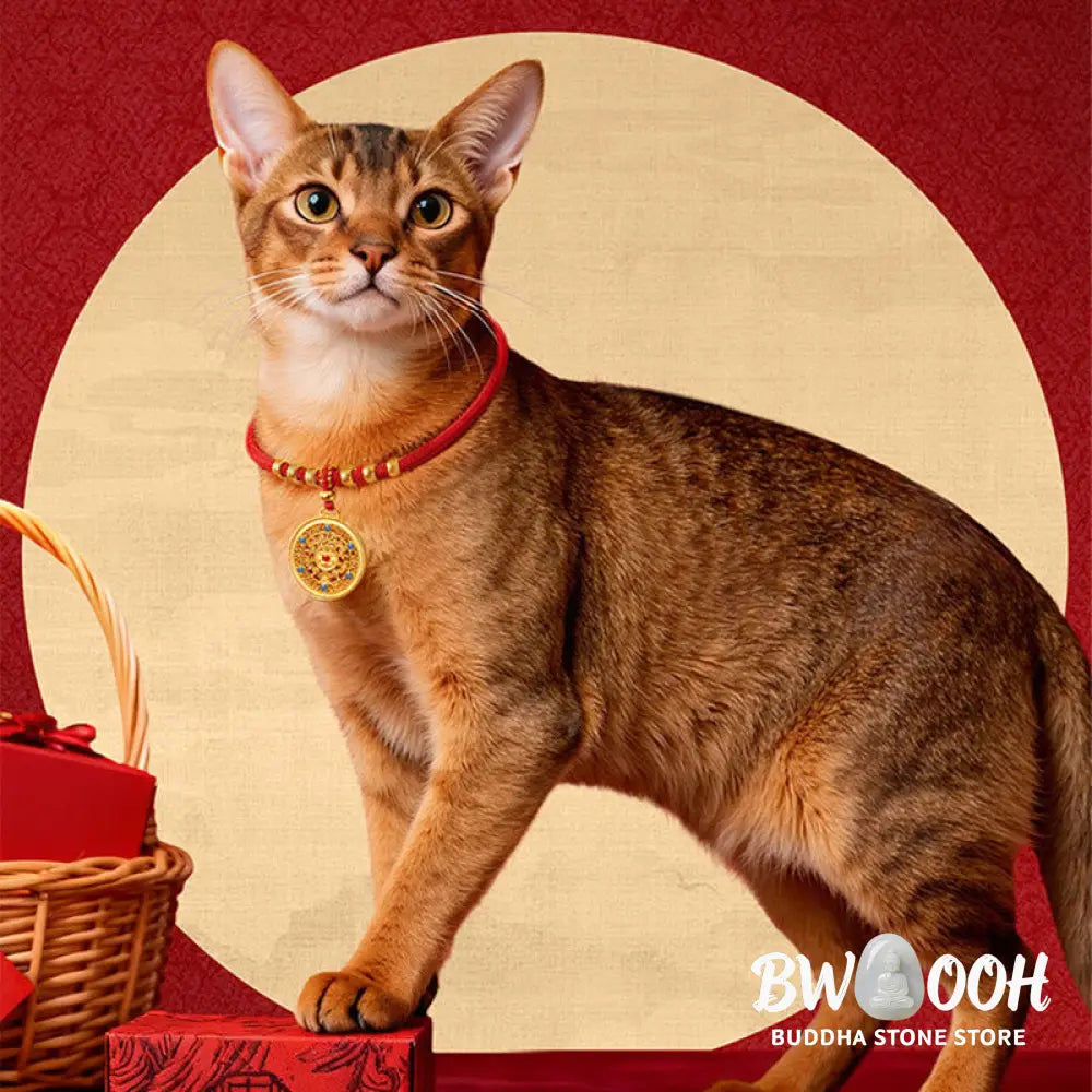 Buddha Stones Red String Bead Compass Gourd Protection Adjustable Cats Dogs Pet Collar - Pet Collar