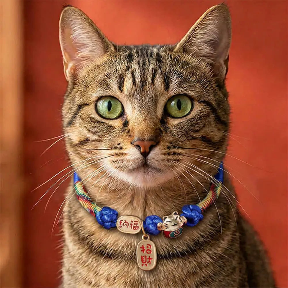 Buddha Stones Red String Plaited Auspicious Fu Character Protection Adjustable Cats Pet Collar - Blue / 18-25cm - Pet