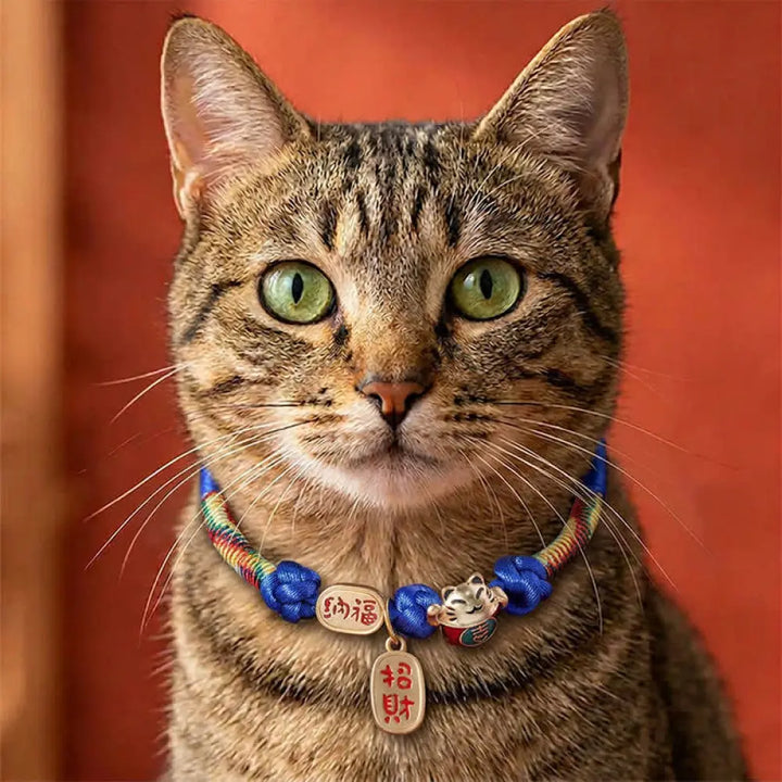 Buddha Stones Red String Plaited Auspicious Fu Character Protection Adjustable Cats Pet Collar - Blue / 18-25cm - Pet