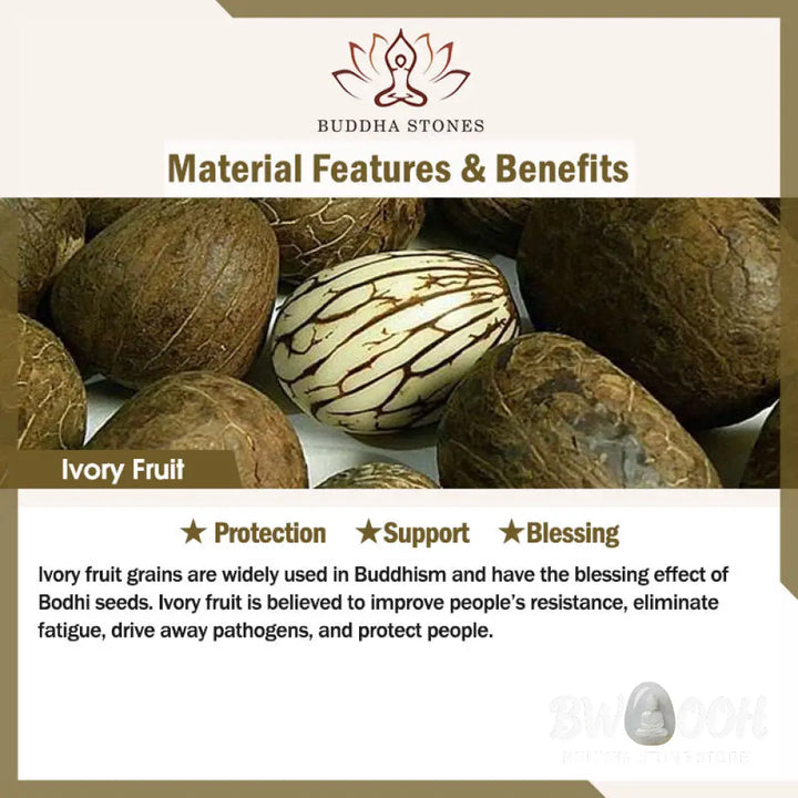 BWOOOH handcrafted Buddha statue - Tathagata Shakyamuni Snake Lotus Iv