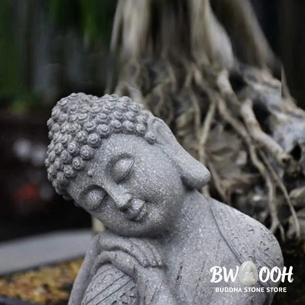 BWOOOH Tibetan Meditation Buddha Blessing Compassion Serenity Home Decoration - Decorations