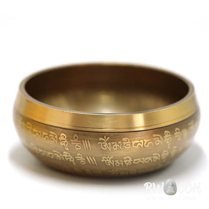 BWOOOH Tibetan Sound Bowl Handcrafted for Yoga Mindfulness and Meditation Singing Bowl Set - 4.72IN (12CM)