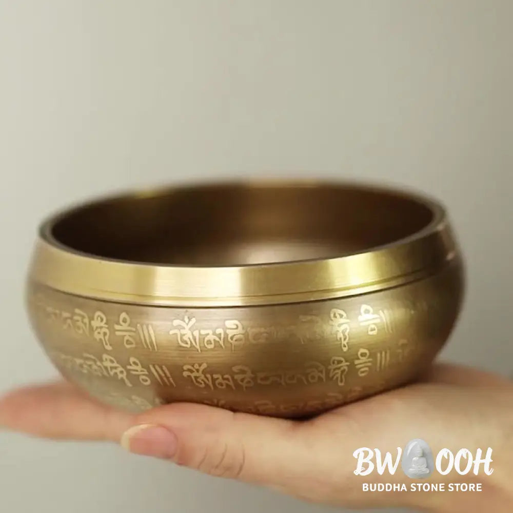 BWOOOH Tibetan Sound Bowl Handcrafted for Yoga Mindfulness and Meditation Singing Bowl Set - 4.72IN (12CM)