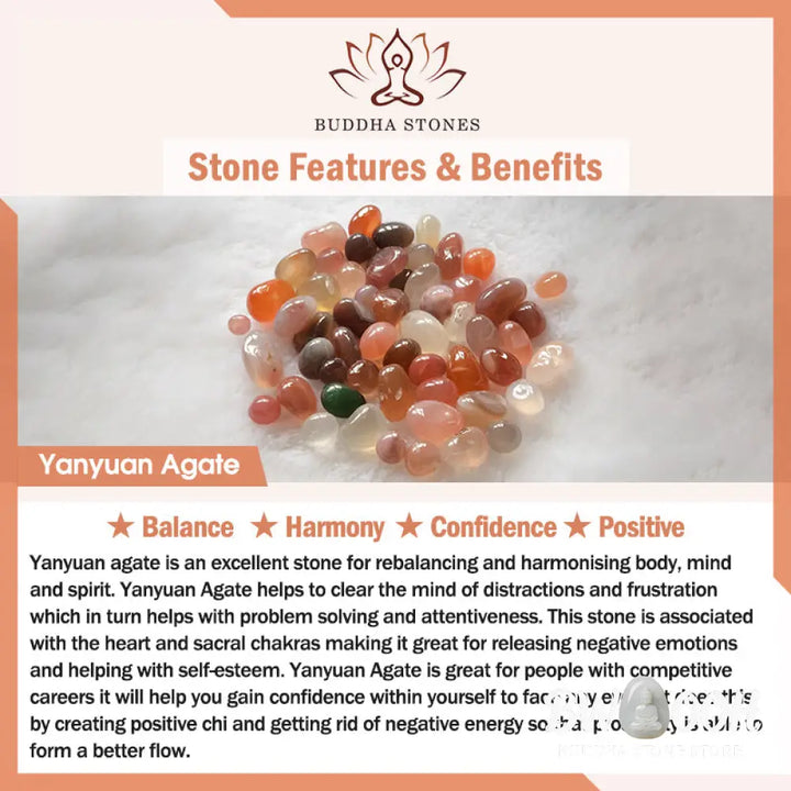 Buddha Stones Yanyuan Agate Cat Claw Paw White Bodhi Seed Fu Character Positive Braided Rope Bracelet - BWOOOH