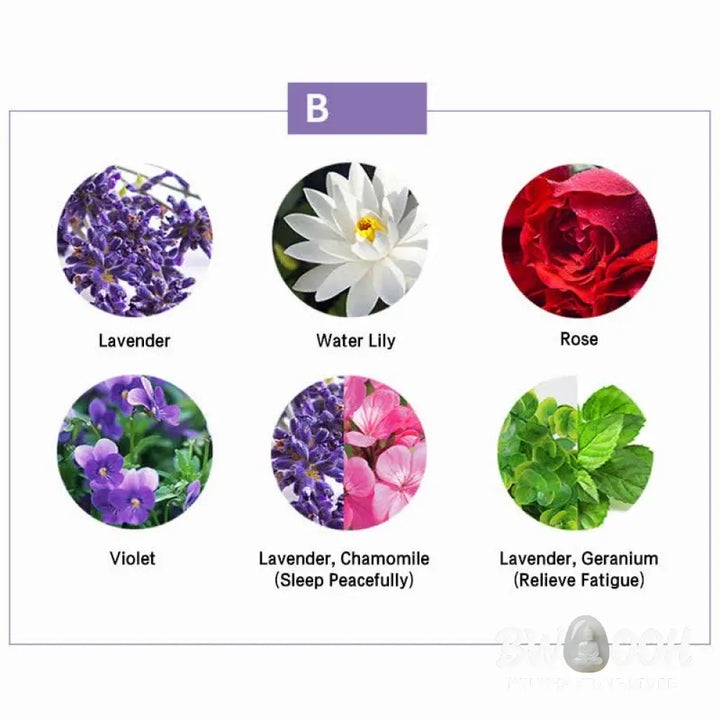 BWOOOH 6Pcs Lavender Orange Jasmine Lemongrass Soothing Aromatherapy Healing Essential Oils Set - Essential Oil