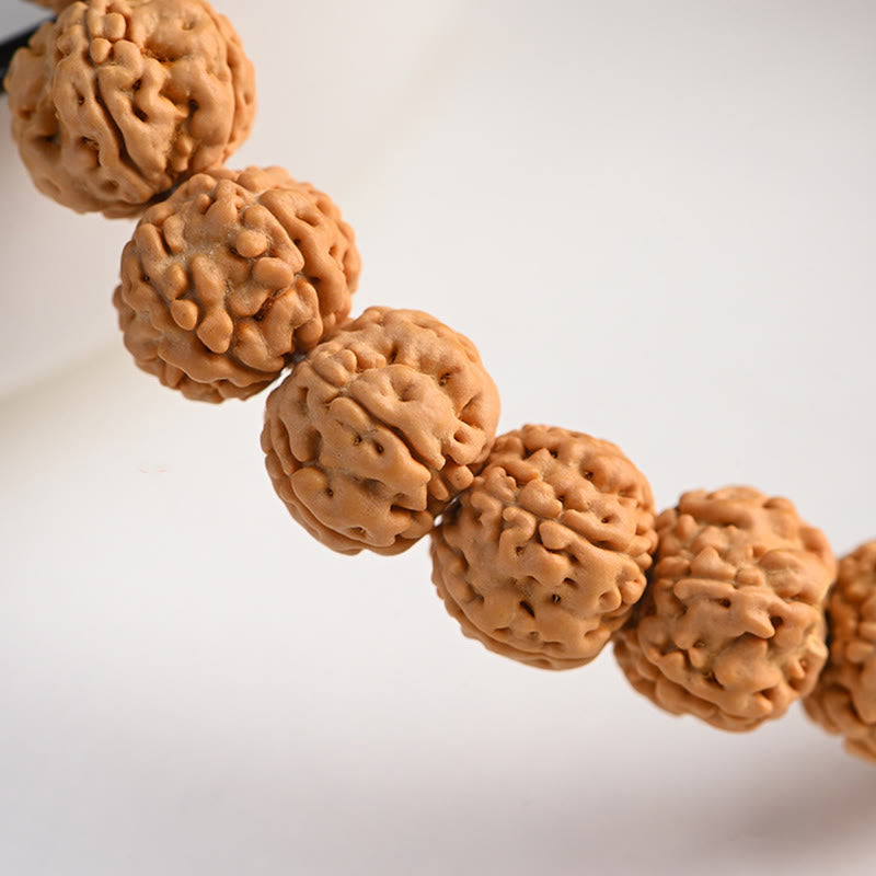 BWOOOH Tibet Rudraksha Bodhi Seed Wealth Auspiciousness Bracelet | spiritual healing bracelet