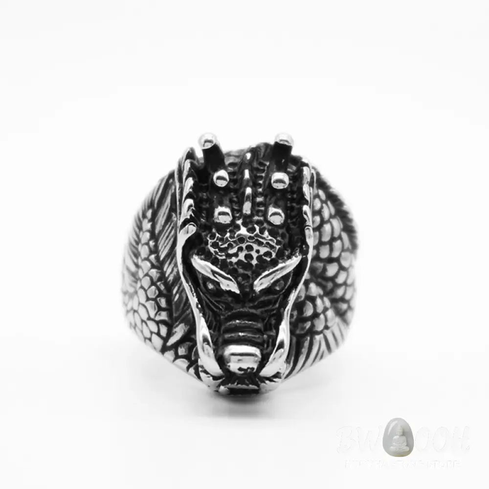 Dragon Balance Titanium Steel Ring - BWOOOH - Rings