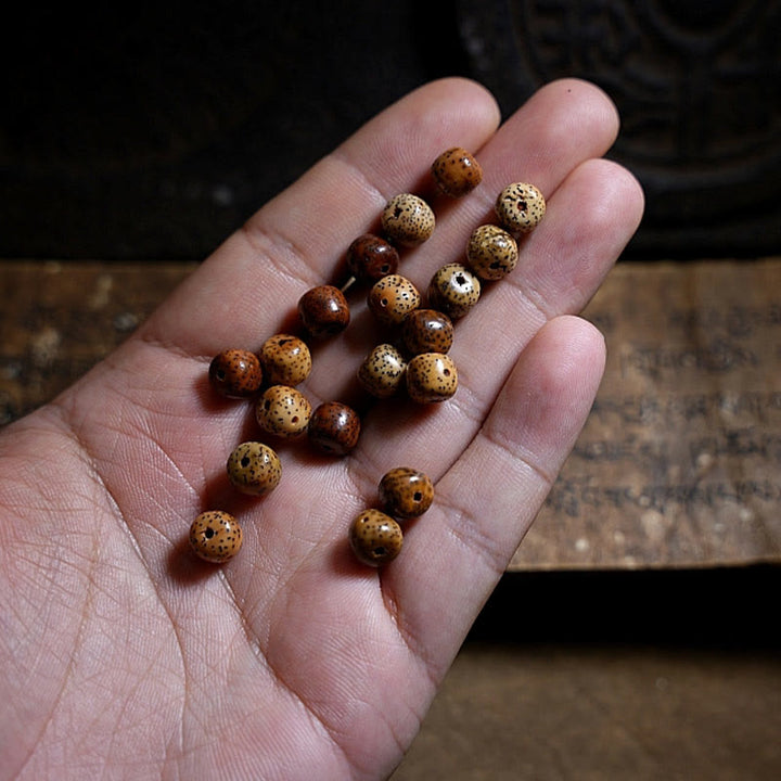 BWOOOH Tibetan Bodhi Seed Amber Dzi Bead Agate Zakiram Goddess of Wealth Beads Triple Wrap Bracelet
